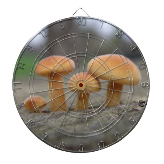 Klantenstools Macro Dart Board Dartbord (Voorkant)