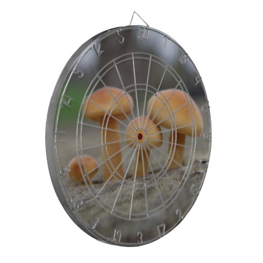 Klantenstools Macro Dart Board Dartbord (Voorkant Links)