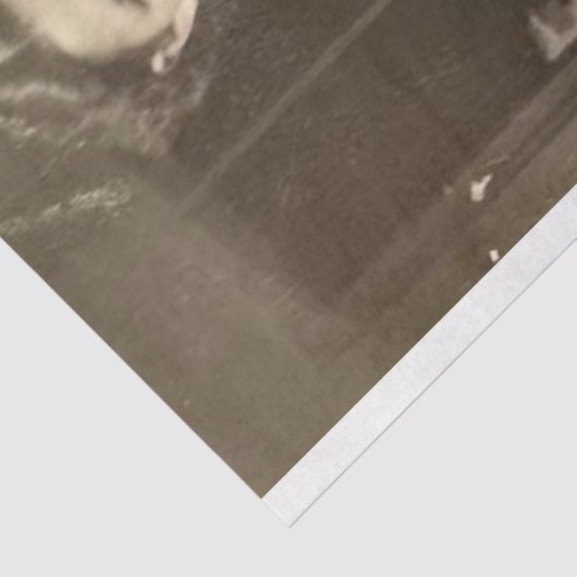 Klantgerichte foto DP Decoupage Tissuepapier (Detail)