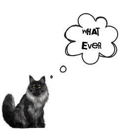 KLANTTEKST - Boys alles - Katten voor altijd T-shirt