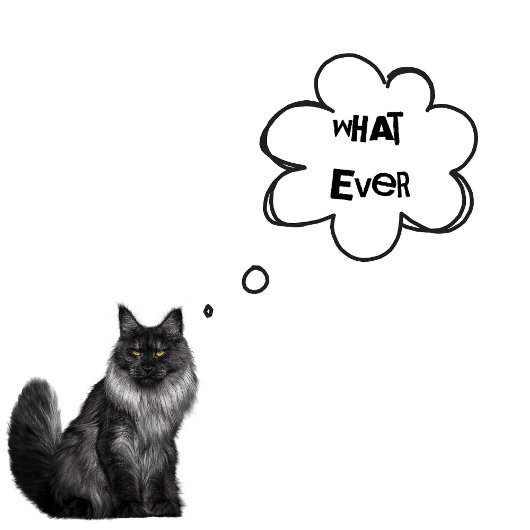 KLANTTEKST - Boys alles - Katten voor altijd T-shirt