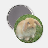 klap magneet (Voorkant / Achterkant)