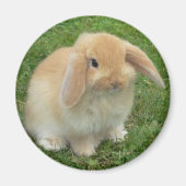 klap magneet (Voorkant)