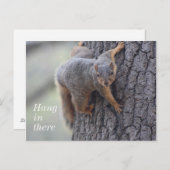 Klapeekhoorn Briefkaart (Voorkant / Achterkant)