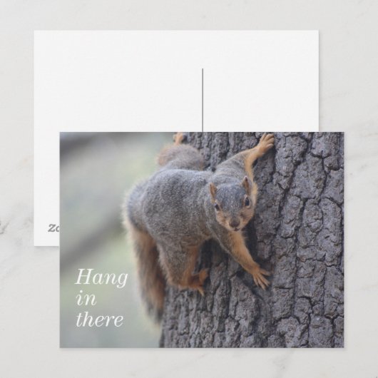 Klapeekhoorn Briefkaart (Voorkant / Achterkant)