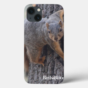 Klapeekhoorn Case-Mate iPhone Case