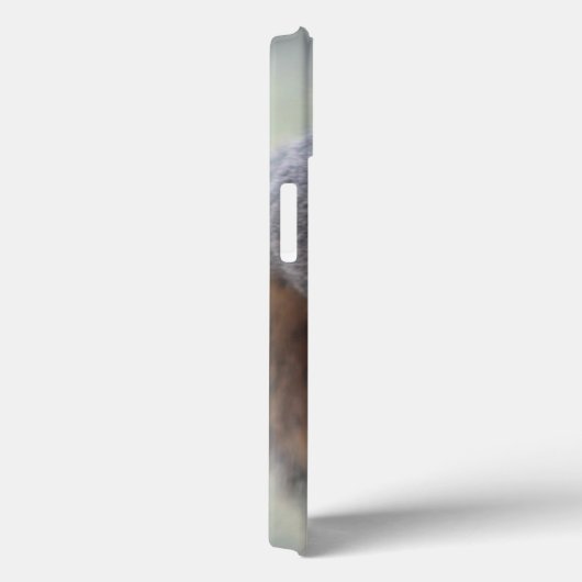 Klapeekhoorn Case-Mate iPhone Case (Achterkant / Rechts)