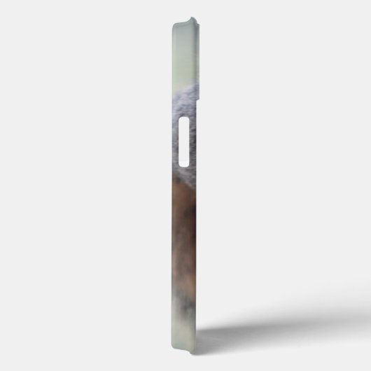 Klapeekhoorn Case-Mate iPhone Case (Achterkant / Rechts)