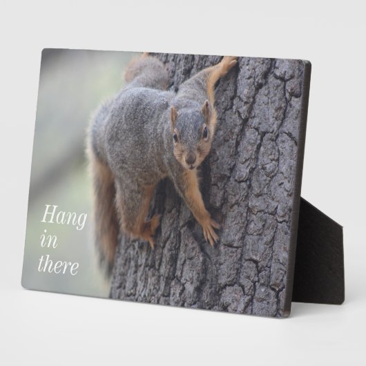 Klapeekhoorn Fotoplaat (Zijkant)