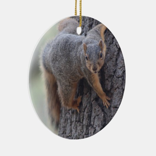 Klapeekhoorn Keramisch Ornament (Rechts)