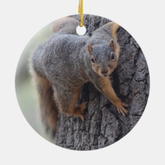 Klapeekhoorn Keramisch Ornament (Achterkant)