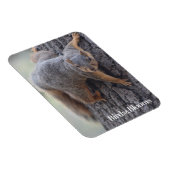 Klapeekhoorn Magneet (Rechterzijde)