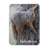 Klapeekhoorn Magneet (Verticaal)