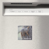 Klapeekhoorn Magneet (Insitu (Vaatwasser))