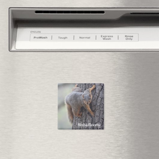 Klapeekhoorn Magneet (Insitu (Vaatwasser))