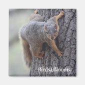 Klapeekhoorn Magneet (Voorkant)