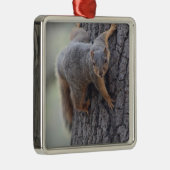 Klapeekhoorn Metalen Ornament (Rechts)