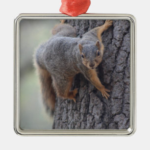 Klapeekhoorn Metalen Ornament