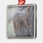 Klapeekhoorn Metalen Ornament (Links)