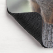 Klapeekhoorn Muismat (Hoek)