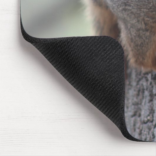 Klapeekhoorn Muismat (Hoek)