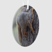 Klapeekhoorn Ornament (voorkant)