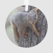 Klapeekhoorn Ornament (achterkant)