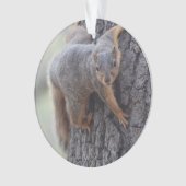 Klapeekhoorn Ornament (voorkant)