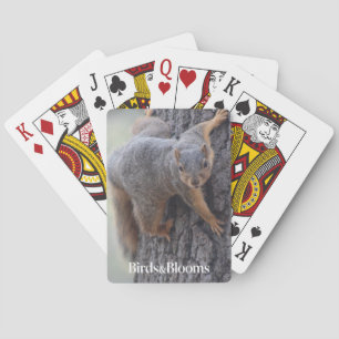 Klapeekhoorn Pokerkaarten