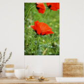 Klapper ingelijste print (Keuken)