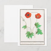 Klapperbloemen Vintage Wenskaart Notitiekaartje (Voorkant / Achterkant)