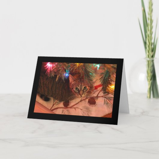 Klapperkat Kerstboom kaart (Voorkant)