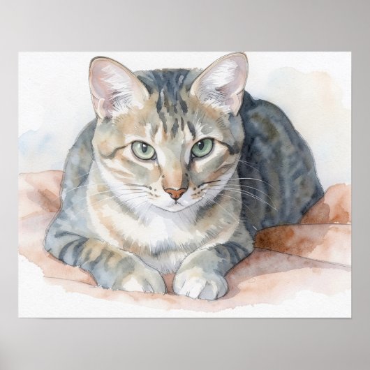 Klapperkat Kunstposter Poster (Voorkant)