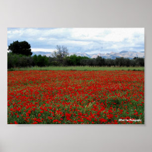 Klapperveld Boomgrens Poster