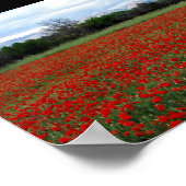 Klapperveld Boomgrens Poster (Hoek)