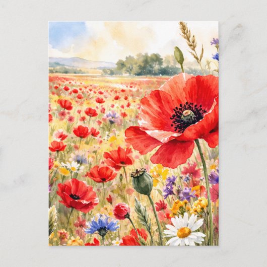Klapperveld - Waterverf Klaproos Briefkaart (Voorkant)