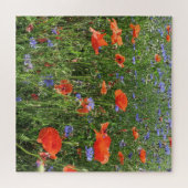 klaproos, bloem, veld, natuur, lente, achtergrond, legpuzzel (Horizontaal)