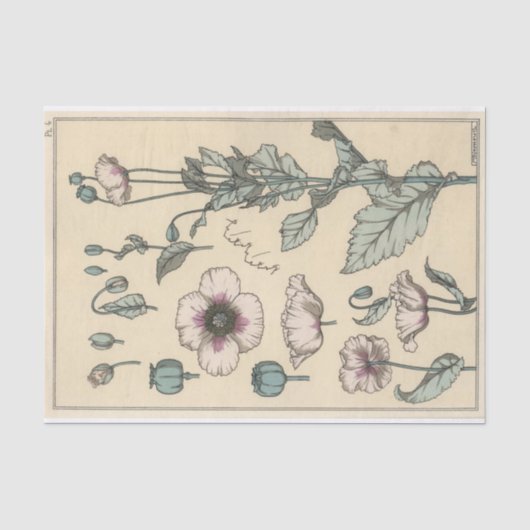 Klaproos, Botanische Serie van Eugene Grasset Tissuepapier (Voorkant)