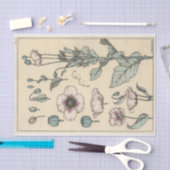 Klaproos, Botanische Serie van Eugene Grasset Tissuepapier (Craft)