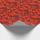 Klaproos Cadeaupapier (Hoek)