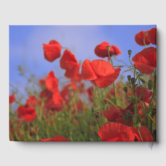 klaproos | In liefdevolle herinnering begrafenismo Gastenboek (Achterkant)