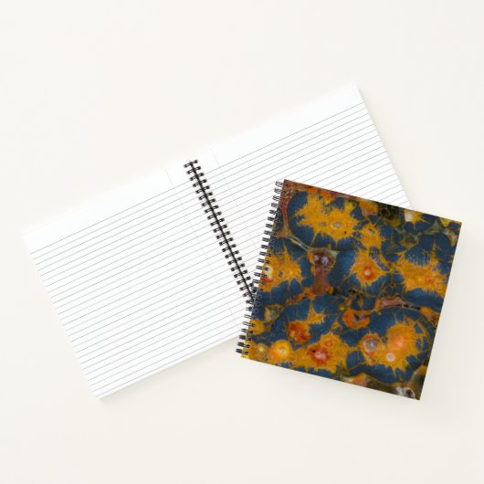 Klaproos Jasper Notitieboek (Binnen)