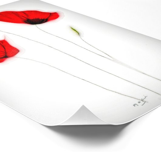 KLAPROOS POSTER (Hoek)