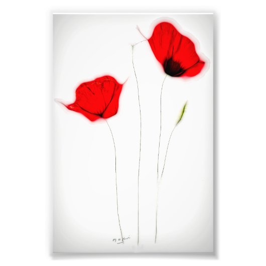 KLAPROOS POSTER (Voorkant)