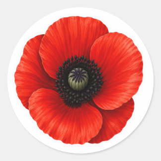 Klaproos voor Remembrance Day Klassieke Ronde Stic Sticker