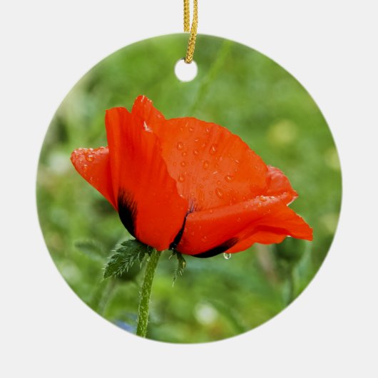 Klaproosornament Keramisch Ornament (Voorkant)