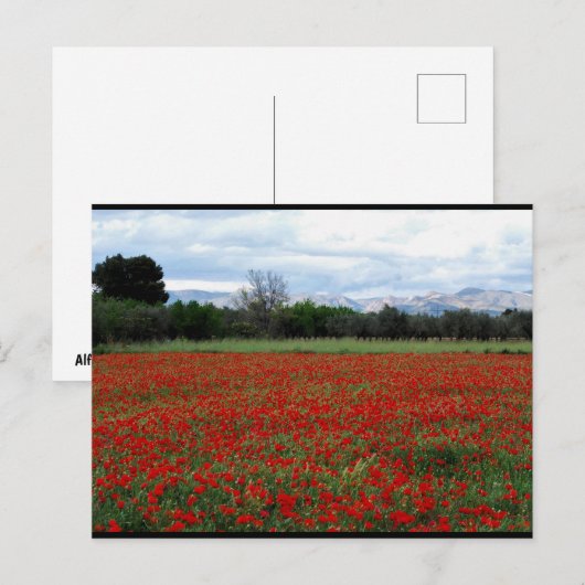 Klaproosveld Boomgrens Briefkaart (Voorkant / Achterkant)