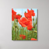 Klaprozen Canvas Afdruk (Voorkant)