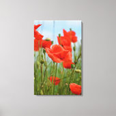 Klaprozen Canvas Afdruk (Voorkant)