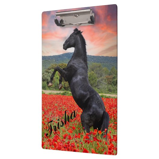 Klaprozen en Paard Klembord (Links)